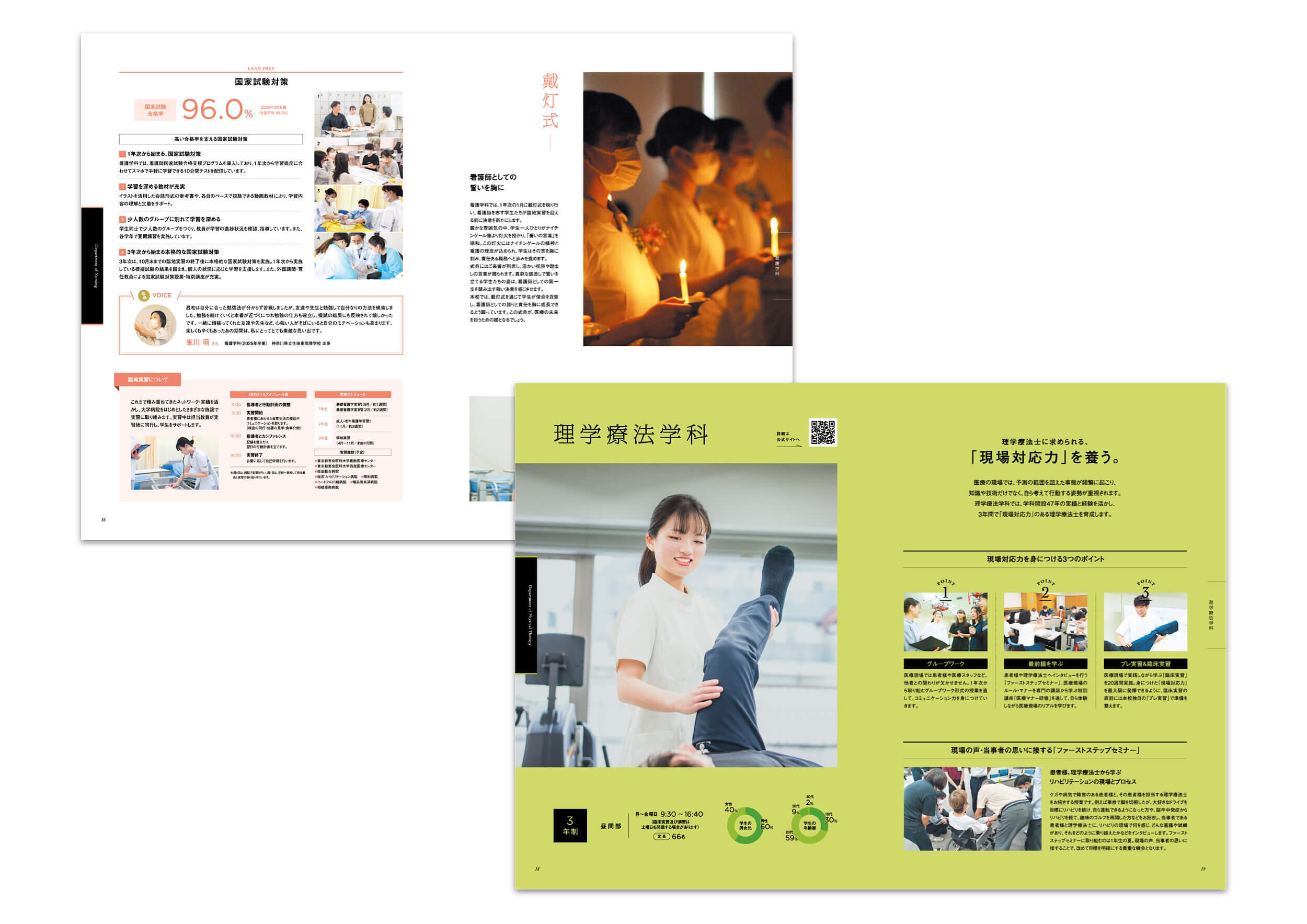 pamphletclips3280.jpg