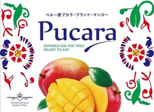 フルーツ リパブリック株式会社｜リーフレット制作実績