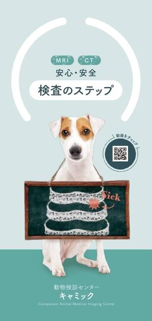 株式会社キャミック｜リーフレット制作実績