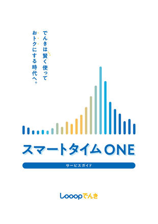 株式会社Looop｜サービス案内パンフレット制作実績