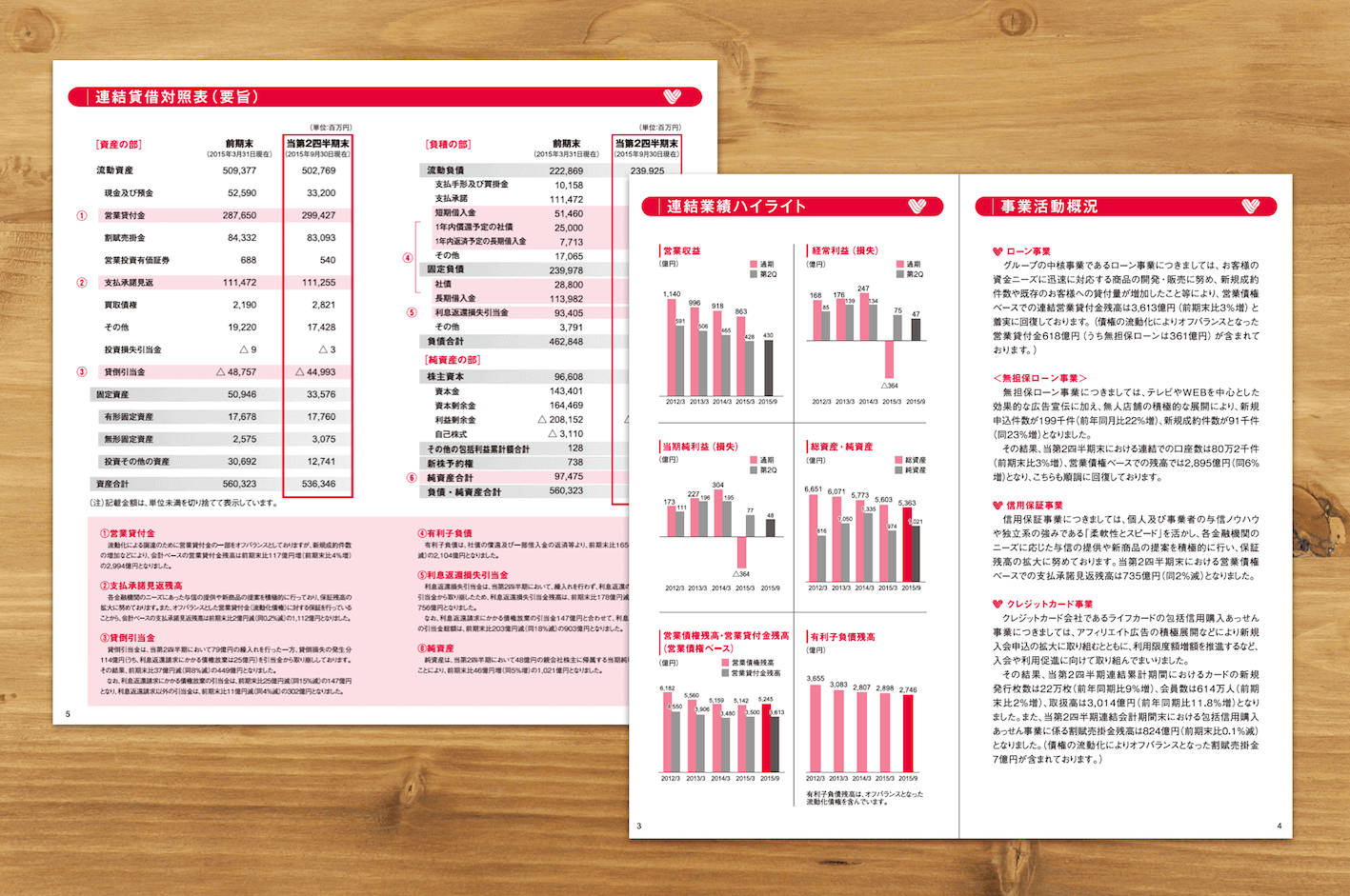 annualreport13.png