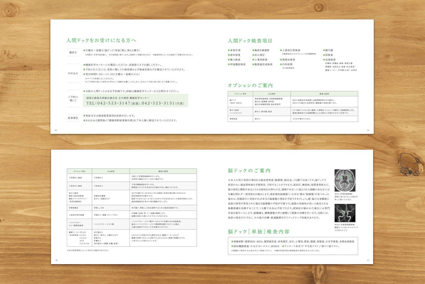 pamphlet449.png