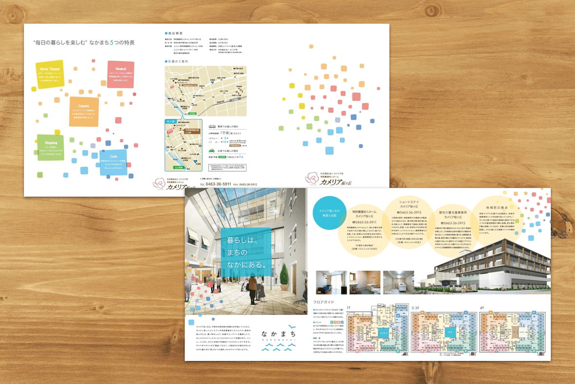 pamphlet737.1.png