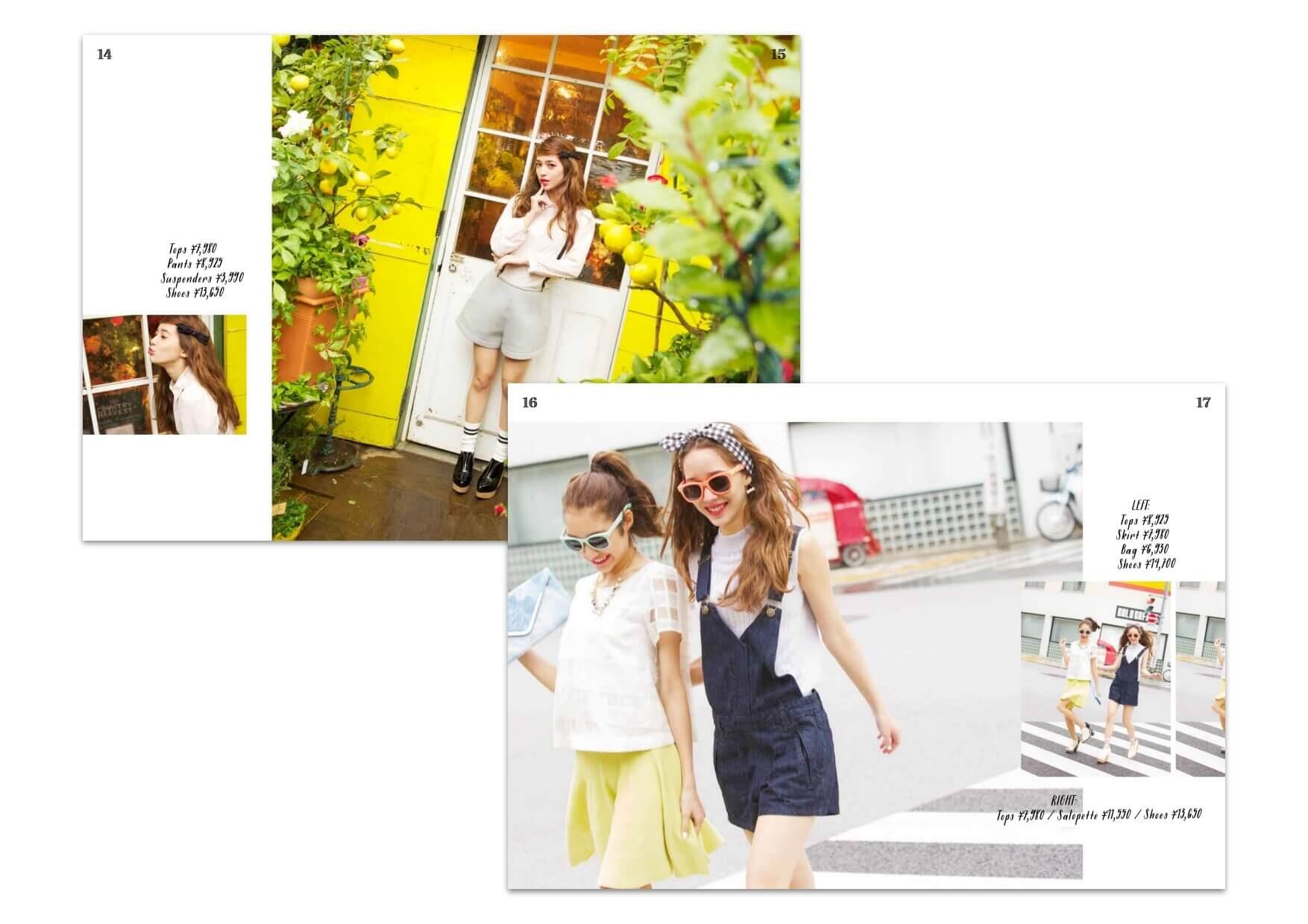 pamphletclips1172.jpg
